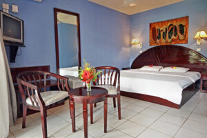 Standard Room (2)